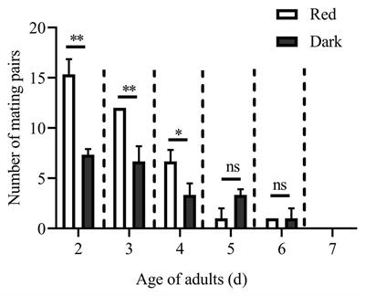 Frontiers Dim Red Light During Scotophase Enhances Mating of a